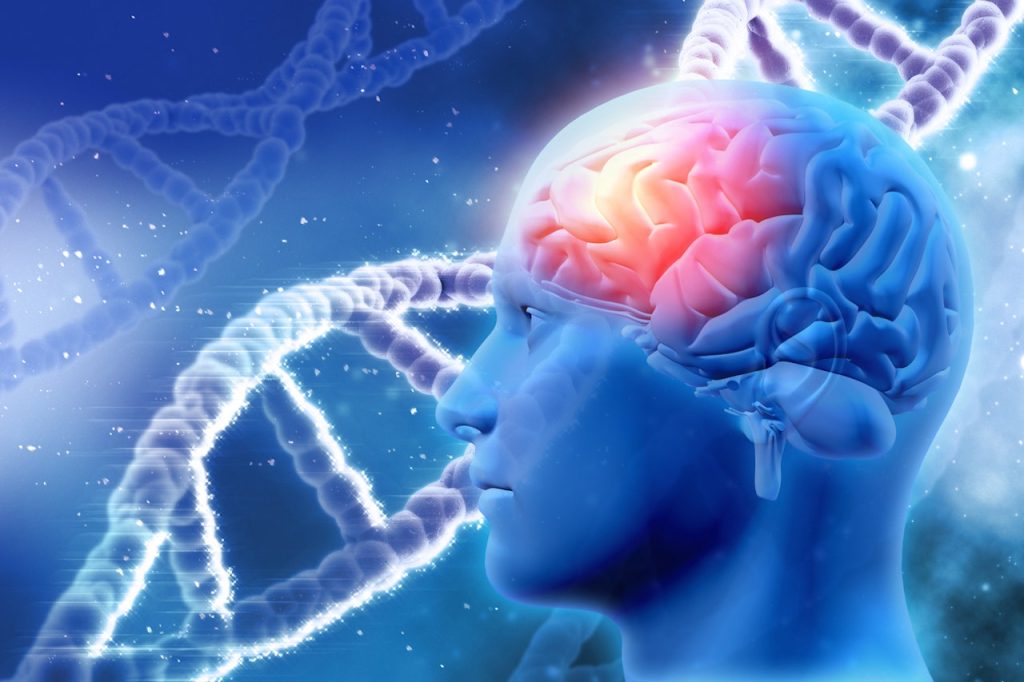 brain-dna-genetics.jpg