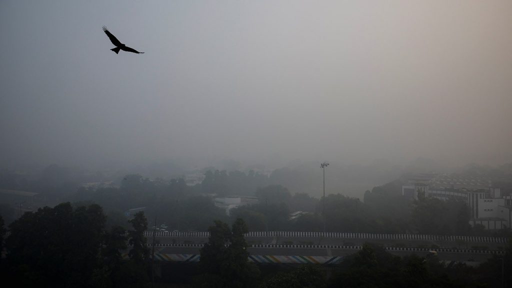 new-delhi-smog.jpg