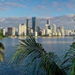 Miami-Skyline-Palm-Trees.jpg