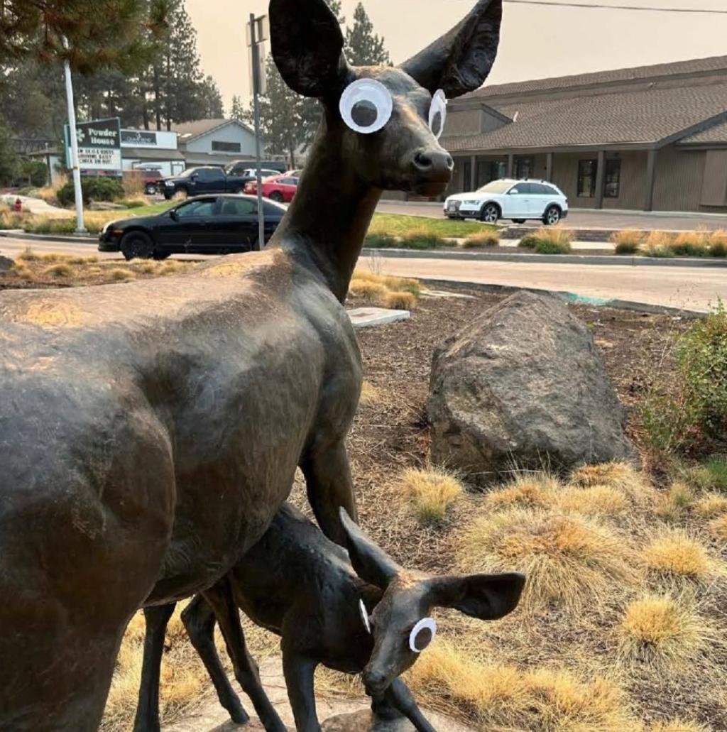 Oregon-Googly_Eyes-Sculptures_58553.jpg