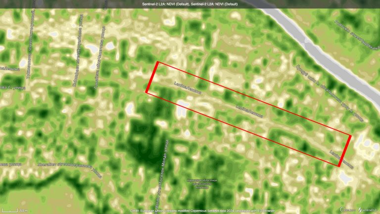 Tree-cutting-NDVI-after-Sept-21-1.jpeg