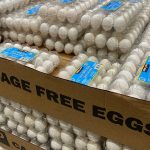 cage-free-eggs.jpg