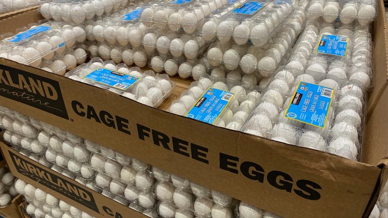 cage-free-eggs.jpg