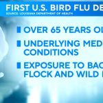 0106-en-birdflu.jpg