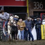 SUT-L-Petco-Rodeo-8.jpg