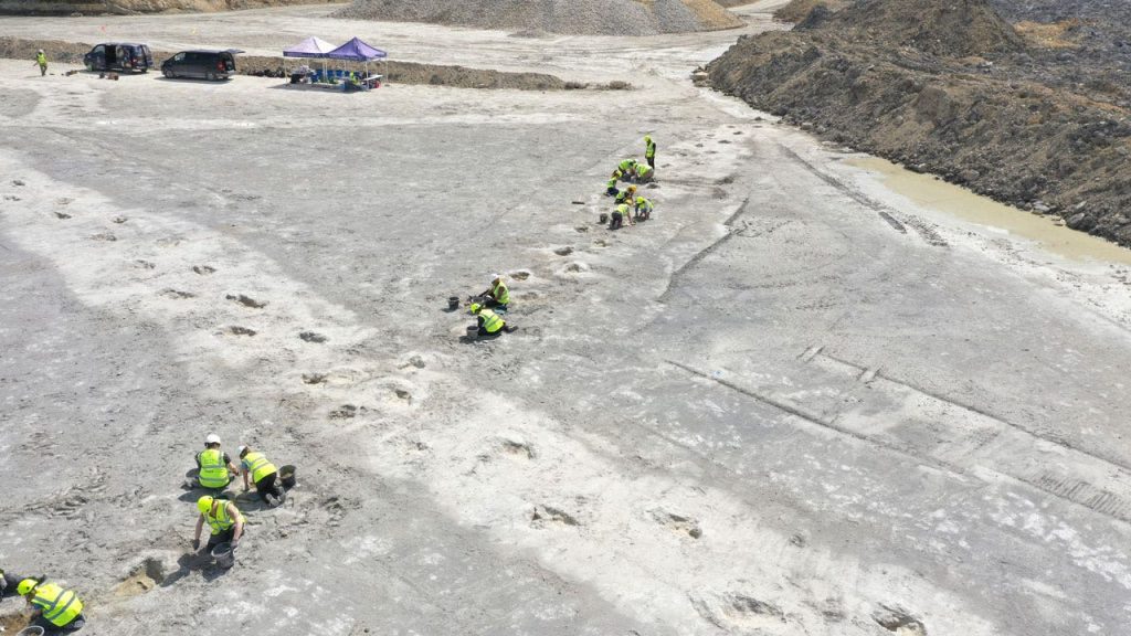 britain-dinosaur-tracks-aerial.jpg