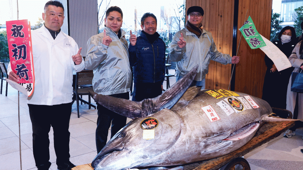 giant-tuna-scaled.gif