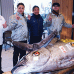 giant-tuna-scaled.gif