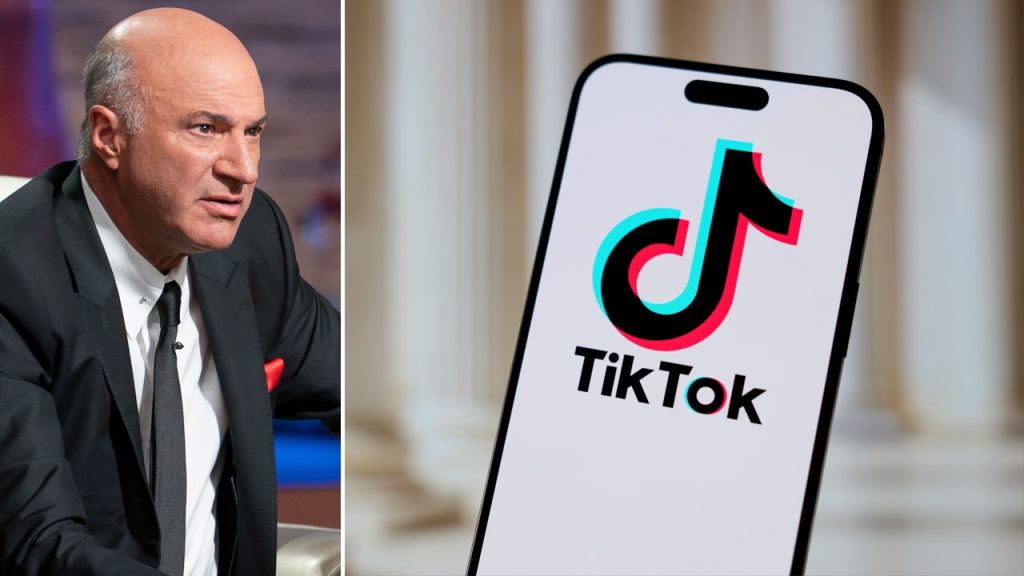 oleary-scotus-tiktok-getty.jpg