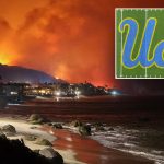 ucla-fires-student-react-getty.jpg