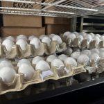 Egg_Prices_39050.jpg