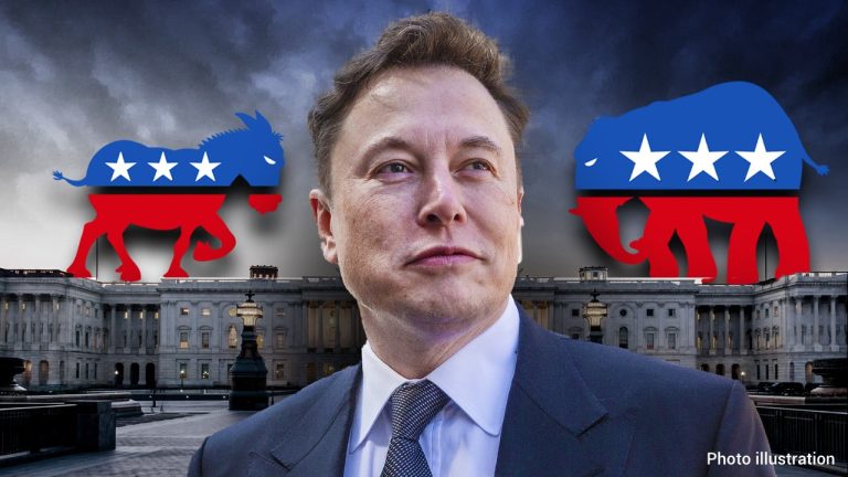 Elon-musk-vote-choice.jpg