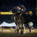 SUT-L-Petco-Rodeo-5.jpg