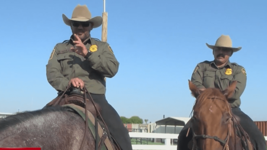 Texas-DPS-mounted-1.png