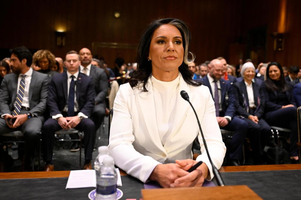 Trump_Cabinet_Gabbard_13320.jpg