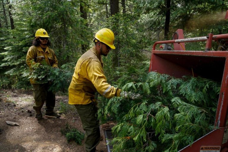 Trump_Wildfires_Fired_Workers_27796.jpg