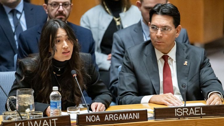 noa-argamani-security-council.jpg