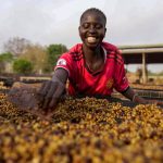 Climate_South_Sudan_Coffee_67224.jpg