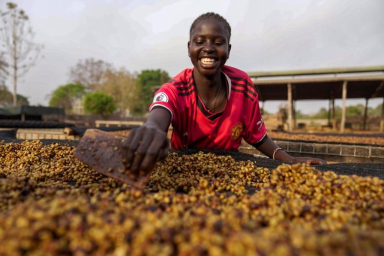 Climate_South_Sudan_Coffee_67224.jpg