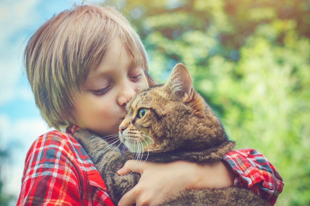 boy-carrying-cat.jpg