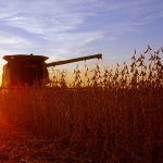 soybean-harvest-in-illinois.jpg