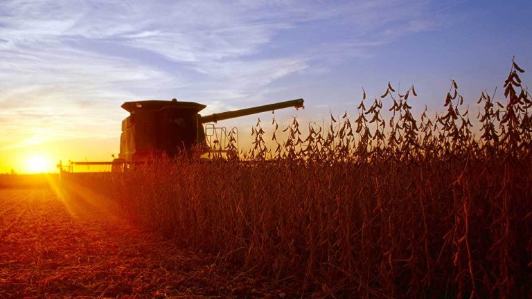 soybean-harvest-in-illinois.jpg