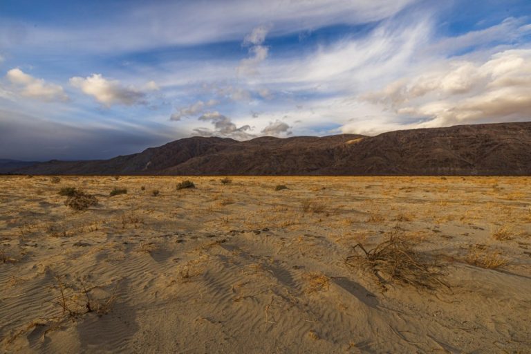 sut-l-anza-borrego-desert-rainfall-3.jpg