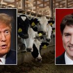 trump-trudeau-dairy.jpg